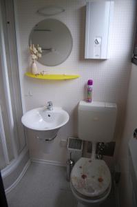 a small bathroom with a toilet and a sink at Ferienhaus Bergblick am See in Waldkirchen