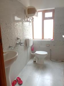 a bathroom with a toilet and a sink and a window at Tsabgyat Homestay in Leh