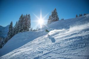 Afbeelding uit fotogalerij van Haus Glatthorn in Faschina +37 foto's