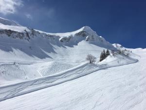 Afbeelding uit fotogalerij van Haus Glatthorn in Faschina