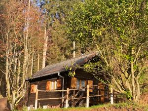 uma pequena cabana de madeira no meio de uma floresta em Le Paradis de Verdure em Natzwiller