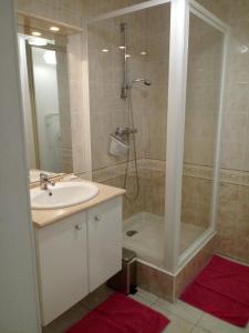 La salle de bains est pourvue d'une douche et d'un lavabo. dans l'établissement Maison plain pied a 10 mn de la plage en campagne, à Saint-Malo