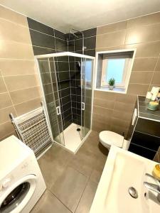 uma casa de banho com um chuveiro, um WC e um lavatório. em Appartement le Rhôn'ain - Vue Rhône - Lit Queen size em Bellegarde-sur-Valserine