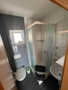 uma casa de banho com um chuveiro, um WC e um lavatório. em Apartments Marija em Vrelo Koreničko
