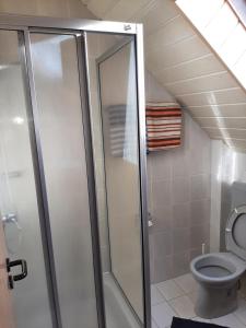 a bathroom with a shower and a toilet at Gästezimmer Löhrbacher Tal in Birkenau