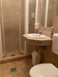 a bathroom with a sink and a toilet and a shower at Wildente Vadászház in Tamási