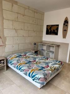 RivarennesにあるGuest House de Céline et Benoîtのベッドルーム1室(カラフルな毛布付きのベッド1台付)