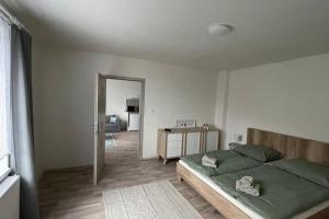 1 dormitorio con cama verde y espejo en Dům nad jezerem - apartmán II., en Most