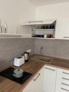 uma cozinha com uma bancada com uma torradeira e um lavatório em Dům nad jezerem - apartmán II. em Most