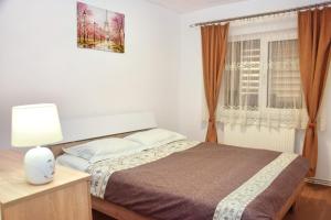 Schlafzimmer mit einem Bett und einem Fenster in der Unterkunft Apartament Cetate in Alba Iulia