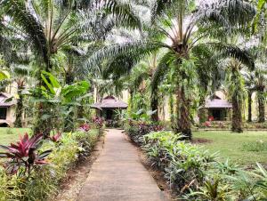 a path in a garden with palm trees and flowers at Khao Sok Palm Garden Resort in Khao Sok