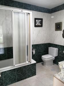 a bathroom with a shower and a toilet at Finca La Sierra in Pillarno