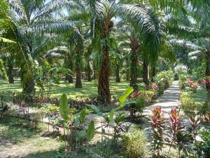 a garden with palm trees and a path at Khao Sok Palm Garden Resort in Khao Sok National Park