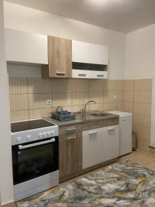 帕萊的住宿－Apartman Nova Pale，厨房配有水槽和炉灶 顶部烤箱