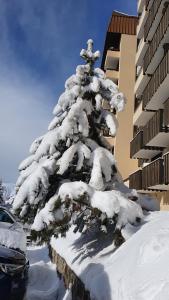 Front de neige Panoramique v zime