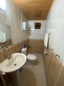 La petite salle de bains est pourvue d'un lavabo et de toilettes. dans l'établissement Elmas Pansiyon, à Karacasu