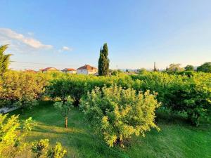 a field of trees and bushes with houses in the background at Home Mia Airport in Podgorica