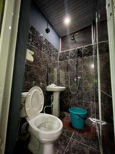 y baño con aseo, lavabo y ducha. en Scandinavian style Duplex Gowon Estate Egbeda, en Lagos