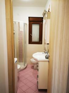 La salle de bains est pourvue d'un lavabo, de toilettes et d'une douche. dans l'établissement Appartamento la Canvetta, à Santa Maria Maggiore