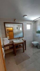 a bathroom with a sink and a mirror and a toilet at Apartments Ela in Rateče