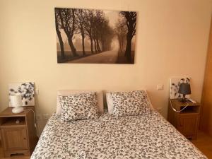 um quarto com uma cama e um quadro na parede em Precioso apartamento en zona residencial em Panticosa