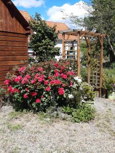 ogród z różami i drewnianą pergolą w obiekcie Chalet insolite w mieście Saint-Georges-de-Livoye