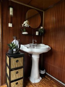 y baño con lavabo blanco y espejo. en Studio sur la péniche Santa Julia à Chantilly Insolys, en Saint-Leu-dʼEsserent