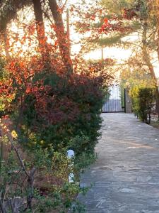 A garden outside Seaside Villa in Alikes, Chalkida
