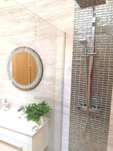uma casa de banho com um chuveiro, um espelho e um lavatório. em New COSY HOMES em Newhaven
