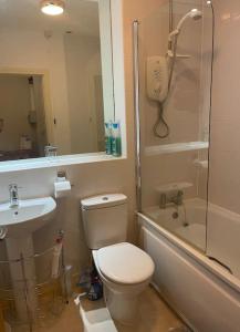 a bathroom with a toilet and a shower and a sink at Lovely 1 Bedroom Apartment in Plymouth