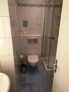 uma pequena casa de banho com WC e chuveiro em Monteurwohnung Matthias Apelrath Solingen em Solingen