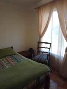 a bedroom with a bed and a window at Granja Vip Valle de Elqui in Vicuña