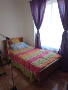 a bedroom with a bed and a window with a curtain at Granja Vip Valle de Elqui in Vicuña