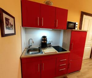 Kuchyň nebo kuchyňský kout v ubytování Villa Petterhof