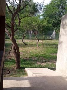 a view of a park with trees in the background at Casa Moderna in Mina Clavero