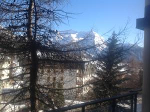 a view from a window with trees in the foreground at Casa Glesia in Sestriere
