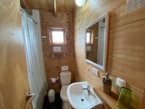 a bathroom with a sink and a toilet and a mirror at Hostal Palafito Waiwen in Castro