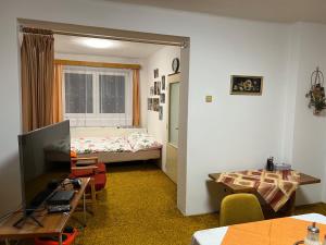 Zimmer mit einem Schlafzimmer mit einem Bett und einem TV in der Unterkunft Přízemí rodinného domu in Košťálov