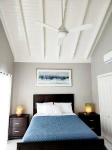 a bedroom with a blue bed with a ceiling at Modern Luxury 2-bedroom 2.5-bathroom townhouse in Negril