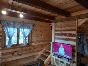 a log cabin living room with a flat screen tv at Mašine kolibe in Kaludjerske Bare