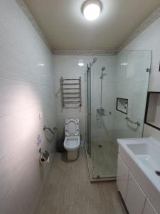 y baño con ducha, aseo y lavamanos. en Chorsu Inn en Tashkent