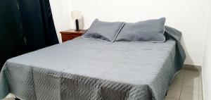 1 cama con sábanas y almohadas grises en una habitación en DEPTO CENTRO SALTA. DEAN FUNES 45 en Salta