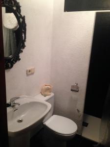 y baño con aseo, lavabo y espejo. en Cal Xesc, en Castellar de NʼHug