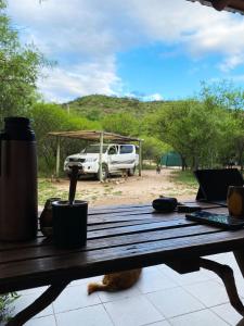 un gato sentado en una mesa de picnic con un ordenador portátil en Casita Libertad en San Marcos en San Marcos Sierras