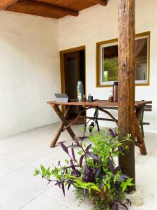 una mesa de picnic en el patio de una casa en Casita Libertad en San Marcos en San Marcos Sierras