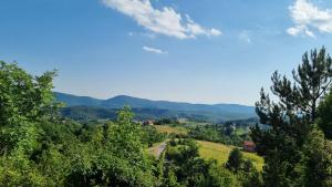 Paesaggio naturale nelle vicinanze dello chalet