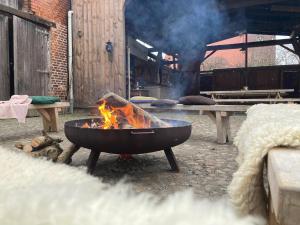 a fire pit with a bunch of smoke in it at Altes Kommandeurhaus in Werben an der Elbe in Werben