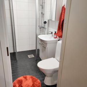 uma casa de banho com um WC e um lavatório em Kodikas kaksio keskustassa em Pori