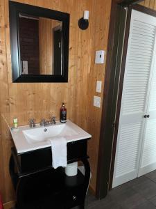 a bathroom with a sink and a mirror at La Cabane chez Jimmy in Petit-Saguenay