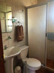 een badkamer met een toilet, een wastafel en een douche bij CABAÑAS MILKAHUE PUCON in Pucón +79 foto's